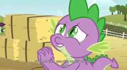 Size: 852x472 | Tagged: safe, screencap, spike, dragon, g4, spike at your service, male, youtube caption