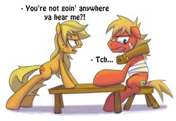 Size: 1300x892 | Tagged: safe, artist:phoreen, applejack, big macintosh, earth pony, pony, g4, injured, male, stallion