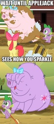 Size: 471x1080 | Tagged: safe, edit, edited screencap, screencap, apple bloom, little piggington, spike, twilight sparkle, dragon, earth pony, pig, pony, g4, spike at your service, caption, image macro, pun