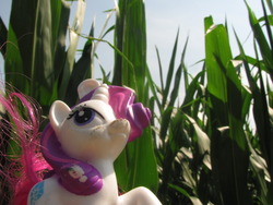 Size: 1280x960 | Tagged: safe, rarity, g4, corn, findlay, irl, mcdonald's happy meal toys, ohio, photo, toy