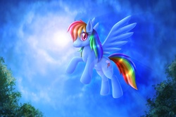 Size: 1920x1280 | Tagged: safe, artist:mylafox, rainbow dash, pony, g4, female, solo