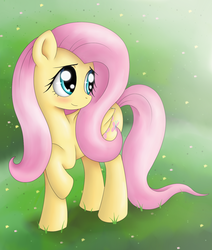 Size: 1164x1372 | Tagged: safe, artist:star-charm, fluttershy, pony, g4, female, solo