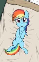 Size: 2500x3900 | Tagged: safe, artist:zirbronium, rainbow dash, pony, g4, bed, female, filly, filly rainbow dash, on back, solo