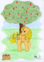 Size: 1423x2000 | Tagged: safe, artist:larrachersan, applejack (g1), g1, apple, traditional art