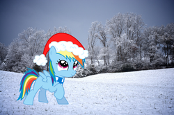 Size: 1024x680 | Tagged: safe, artist:obi-wan-kepony, rainbow dash, g4, filly, hat, ponies in real life, snow, tree, vector