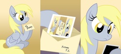 Size: 1800x800 | Tagged: safe, artist:equestria-prevails, edit, derpy hooves, pegasus, pony, g4, droste effect, female, mare, recursion