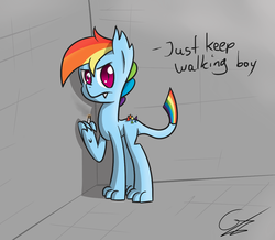 Size: 1239x1079 | Tagged: safe, artist:bloodwolvenl, rainbow dash, g4, solo, species swap