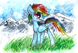 Size: 1570x1074 | Tagged: safe, artist:smartmeggie, rainbow dash, pony, g4, female, solo, traditional art