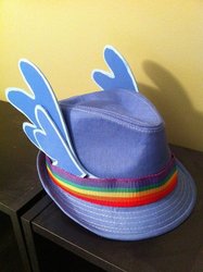 Size: 500x670 | Tagged: safe, rainbow dash, g4, hat, photo, trilby