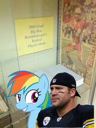 Size: 1944x2592 | Tagged: safe, rainbow dash, human, pegasus, pony, g4, american football, ben roethlisberger, book, findlay, irl, nfl, ohio, photo, physics, pittsburgh steelers, ponies in real life, text, united states