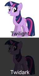 Size: 500x988 | Tagged: safe, twilight sparkle, pony, unicorn, g4, name pun, pun, twidark sparkle, unicorn twilight, visual pun