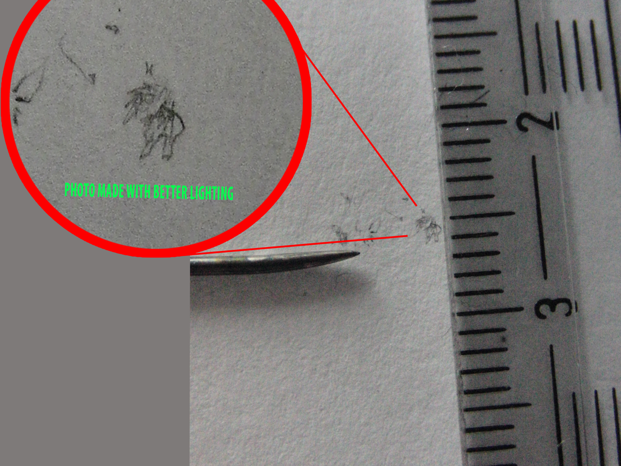 #234659 - safe, artist:alumx, dj pon-3, vinyl scratch, ruler, small ...