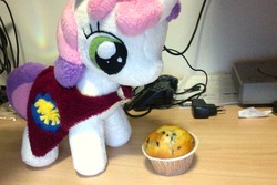 Size: 1080x720 | Tagged: safe, artist:jan, sweetie belle, ask the crusaders, g4, irl, muffin, photo, plushie