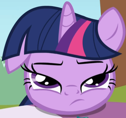 Size: 544x510 | Tagged: safe, screencap, twilight sparkle, pony, unicorn, g4, season 1, the ticket master, cropped, female, mushroom table, one ear down, ponyville, solo, unicorn twilight