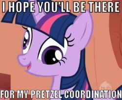 Size: 424x346 | Tagged: safe, twilight sparkle, alicorn, pony, g4, acorn drama, derp, female, image macro, mare, meme, pretzel coordination, twilight sparkle (alicorn)