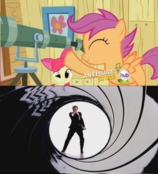 Size: 500x550 | Tagged: safe, apple bloom, scootaloo, g4, exploitable meme, gunbarrel, james bond, telescope, telescope meme, this will end in tears, this will end in tears and/or death