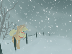 Size: 1024x768 | Tagged: safe, artist:marisalle, applejack, earth pony, pony, g4, clothes, female, fence, scarf, snow, snowfall, solo