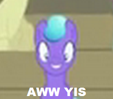 Size: 228x200 | Tagged: safe, rubinstein, crystal pony, pony, g4, image macro, reaction image