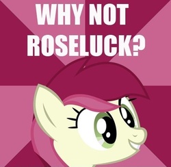 Size: 472x460 | Tagged: safe, roseluck, earth pony, pony, g4, image macro, meme, show accurate, text, why not zoidberg