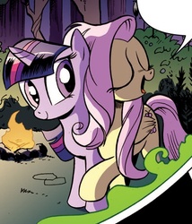 Size: 414x483 | Tagged: safe, idw, official comic, fluttershy, twilight sparkle, pegasus, pony, unicorn, g4, the return of queen chrysalis, spoiler:comic, campfire, duo, duo female, female, forest, mare, ship:twishy, shipping, unicorn twilight