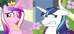 Size: 766x354 | Tagged: safe, princess cadance, shining armor, alicorn, pony, unicorn, g4, awkward, cringing, female, lip bite, male, mare, stallion