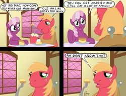 Size: 1000x762 | Tagged: safe, artist:omny87, big macintosh, cheerilee, earth pony, pony, g4, comic, freakazoid, hilarious in hindsight, male, pie, sgt. mike cosgrove, ship:cheerimac, shipping, slice of life, stallion, straight