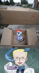 Size: 829x1543 | Tagged: safe, rainbow dash, pegasus, pony, g4, colress, dashie meme, evil people finding dash meme, exploitable meme, pokémon