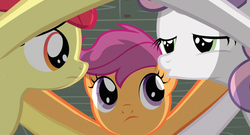 Size: 1898x1024 | Tagged: safe, screencap, apple bloom, scootaloo, sweetie belle, g4, one bad apple, cutie mark crusaders, huddle, out of context, treehouse