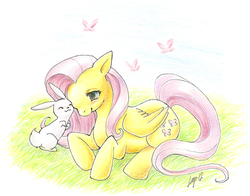 Size: 757x595 | Tagged: safe, artist:ryuza, angel bunny, fluttershy, g4, traditional art