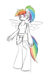 Size: 650x1000 | Tagged: safe, artist:robynne, rainbow dash, anthro, g4, sketch