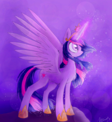 Size: 800x866 | Tagged: safe, artist:namiwami, twilight sparkle, alicorn, pony, g4, female, mare, twilight sparkle (alicorn)