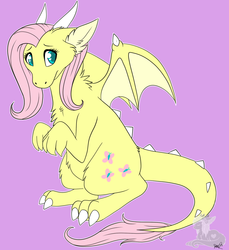 Size: 1100x1200 | Tagged: safe, artist:pasteldragon, fluttershy, dragon, g4, chest fluff, dragonified, female, flutterdragon, simple background, solo, species swap