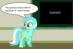 Size: 700x464 | Tagged: safe, lyra heartstrings, pony, unicorn, g4, censored, chalkboard, comic sans, female, horn, human studies101 with lyra, mare, solo