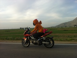 Size: 2592x1936 | Tagged: safe, scootaloo, human, g4, cosplay, irl, irl human, motorcycle, photo, solo