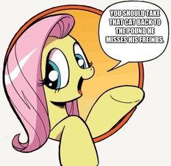 Size: 429x415 | Tagged: safe, idw, fluttershy, pony, friendship is magic #3, g4, my little pony: friendship is magic (idw), bad advice fluttershy, exploitable meme, meme, solo