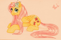 Size: 2256x1487 | Tagged: safe, artist:anniehyena, fluttershy, pony, g4, female, solo