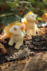 Size: 2848x4272 | Tagged: safe, artist:flicksi, baby apple delight, earth pony, pony, g1, blushing, female, filly, foal, irl, photo, solo, toy
