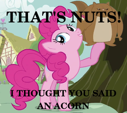 Size: 503x448 | Tagged: safe, pinkie pie, squirrel, g4, acorn drama, pun, text