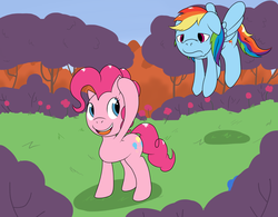 Size: 2771x2158 | Tagged: safe, artist:sncunleashed, pinkie pie, rainbow dash, g4, forest