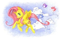 Size: 870x558 | Tagged: safe, artist:ilanta, fluttershy, bird, penguin, g4, traditional art