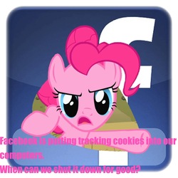 Size: 1334x1334 | Tagged: safe, edit, pinkie pie, g4, cookie, english, facebook, fourth wall, meta, pink text, privacy, text