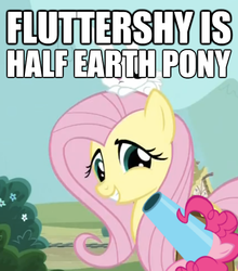 Size: 478x542 | Tagged: safe, fluttershy, g4, headcanon, text