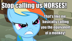 Size: 947x539 | Tagged: safe, rainbow dash, horse, g4, angry, anti-bronybait, bronybait, horse-pony interaction, image macro, meta