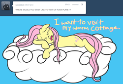 Size: 908x618 | Tagged: safe, artist:riokenng3, fluttershy, ask wingless fluttershy, g4, ask, tumblr, wingless