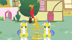 Size: 320x180 | Tagged: safe, screencap, philomena, bird, pegasus, phoenix, pony, a bird in the hoof, g4, season 1, animated, armor, cute, eyes closed, female, frown, laughing, male, open mouth, pegasus royal guard, royal guard, smiling, stallion, tickling, wavy mouth