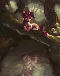 Size: 1860x2322 | Tagged: dead source, safe, artist:nayshie, twilight sparkle, alicorn, pony, g4, duality, female, mare, reflection, solo, twilight sparkle (alicorn)