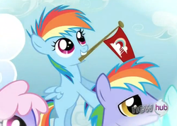 Size: 654x467 | Tagged: safe, screencap, rainbow blaze, rainbow dash, rainbowshine, spring melody, sprinkle medley, pegasus, pony, g4, games ponies play, season 3, all new, cropped, female, filly, filly rainbow dash, flag, foal, happy, hub logo, hubble, logo, male, mare, mouth hold, offscreen character, pennant, stallion, text, the hub, younger