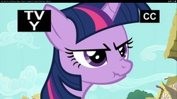 Size: 1920x1080 | Tagged: safe, screencap, twilight sparkle, pony, g4, games ponies play, my little pony: friendship is magic, scrunchy face