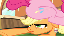 Size: 1440x809 | Tagged: safe, screencap, applejack, pinkie pie, pony, g4, games ponies play, asshat, butt, duo, female, hub logo, logo, mare, plot, the hub