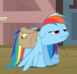 Size: 465x444 | Tagged: safe, screencap, rainbow dash, pony, g4, games ponies play, bag, female, saddle bag, solo